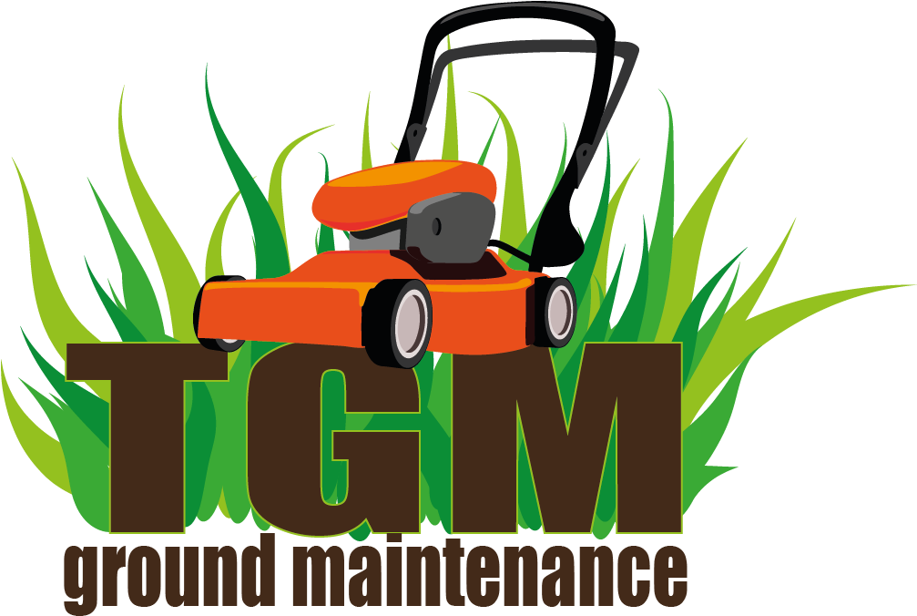 Planeacion Docente Clipart (1006x698), Png Download