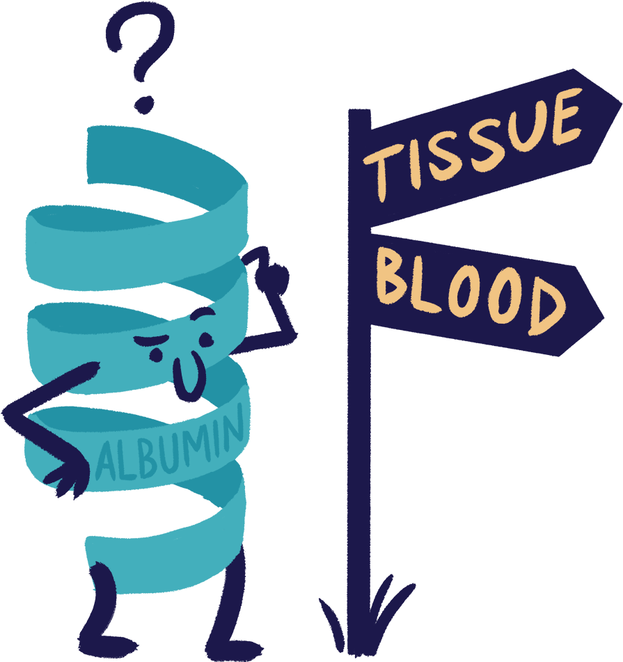 Albumin Clipart - Png Download (1200x1200), Png Download