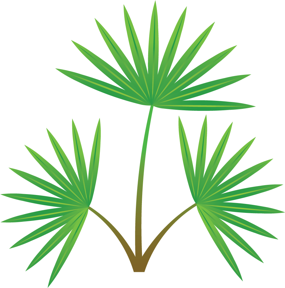 Palm Tree Section Clipart (1000x1000), Png Download