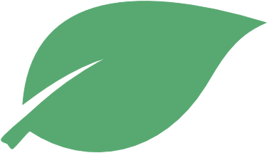 Leaf Clipart (601x601), Png Download