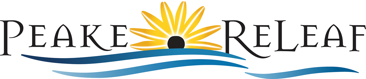 Royal Halı Clipart (1200x262), Png Download