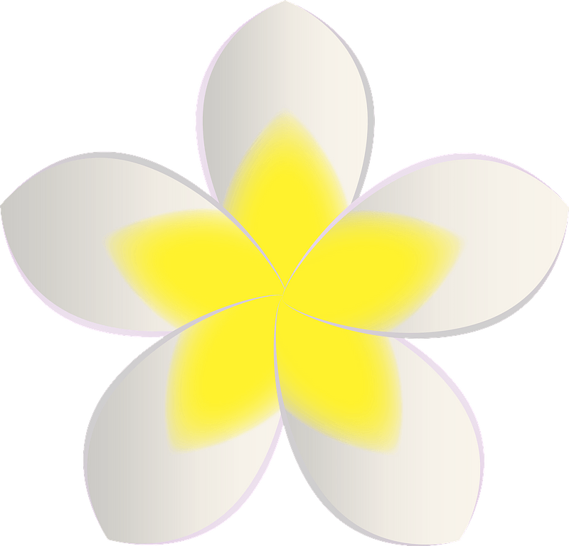 Plumeria Flower Clipart - Plumeria Flower Clip Art - Png Download (800x769), Png Download