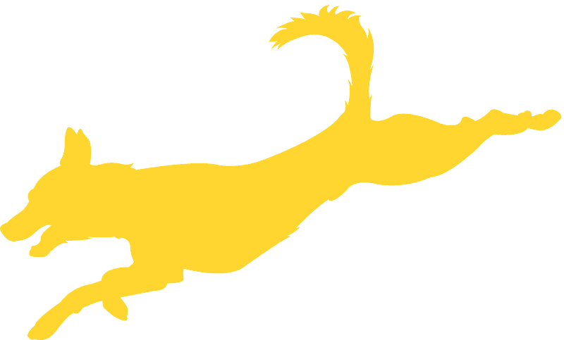 Illustration Clipart (800x483), Png Download