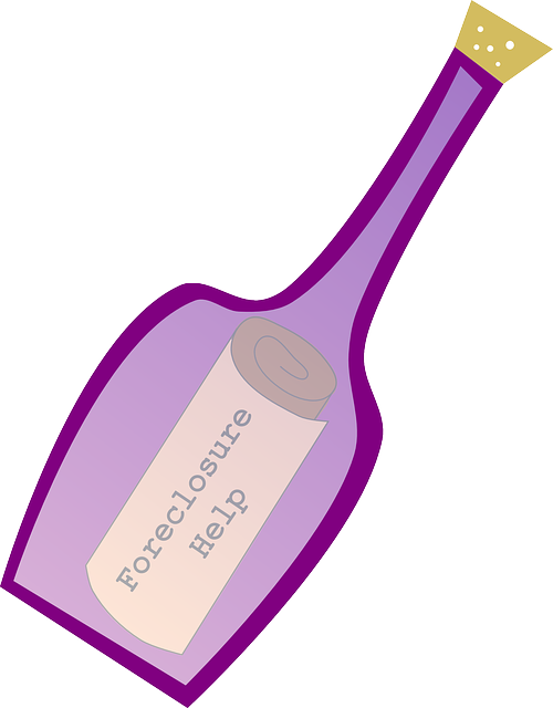 Bottle, Help, Message, Cork, Foreclosure - Garrafa De Mensagem Png Clipart (500x640), Png Download