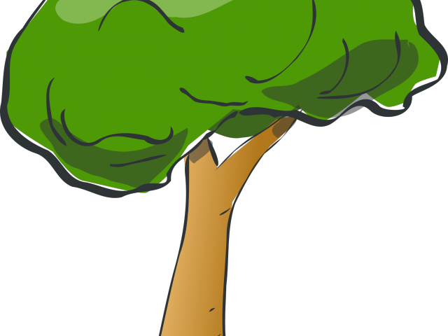 Cartoon Tree Transparent Background Clipart (640x480), Png Download