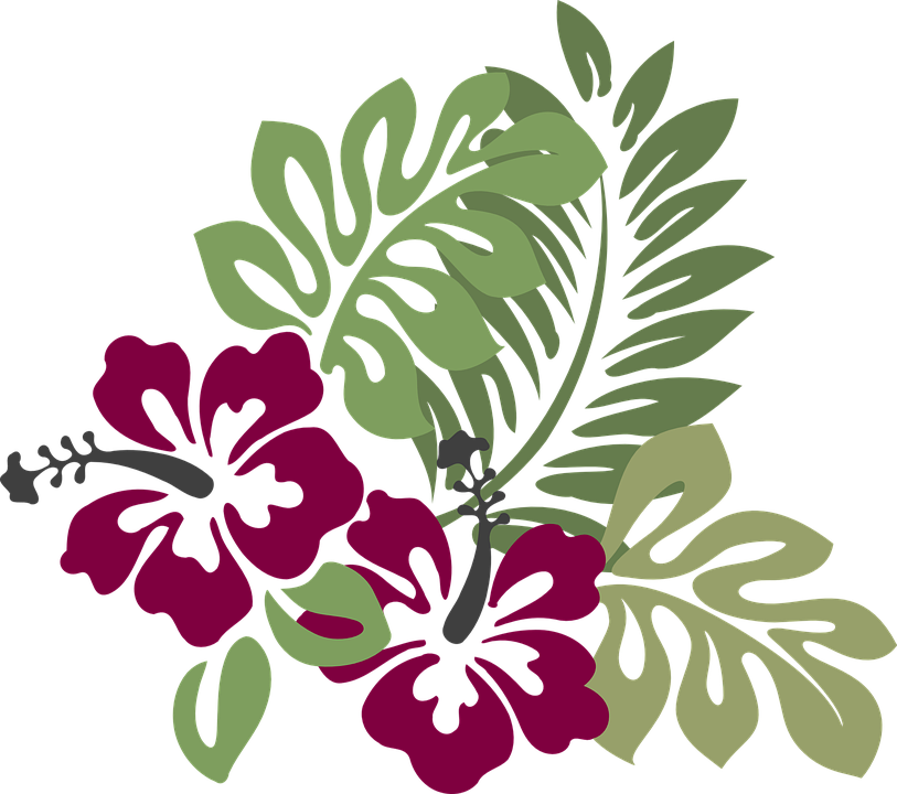 Hibiscus Clip Art - Png Download (813x720), Png Download