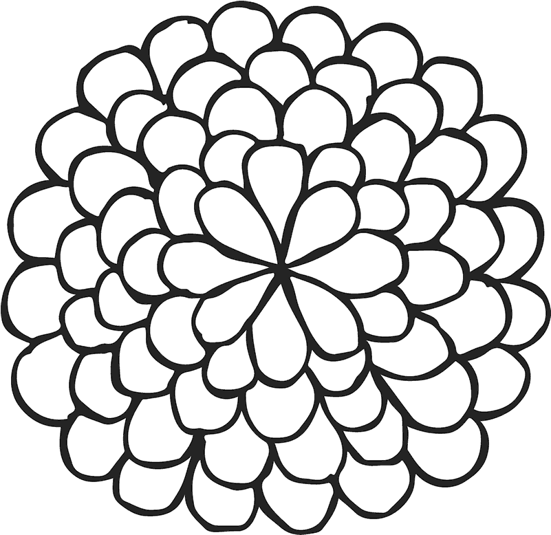 Dahlia Clip Art Image Deadheading Drawing - Outline Image Of Dahlia - Png Download (800x800), Png Download