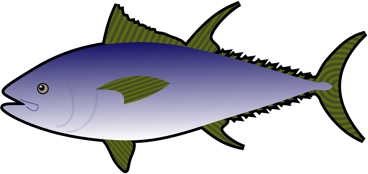 Tuna Fish Clipart - Png Download (1280x640), Png Download