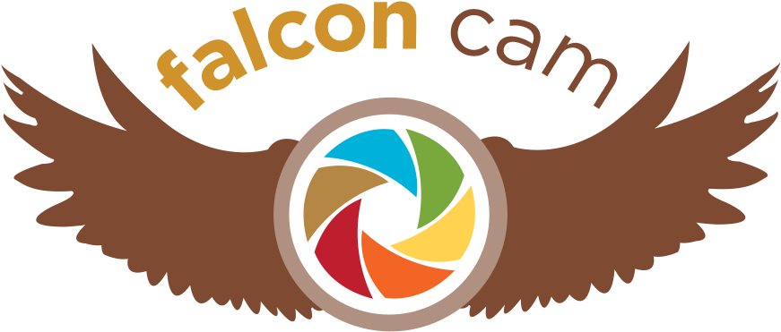 Peregrine Falcon Clipart Shaheen - Graphic Design - Png Download (900x422), Png Download