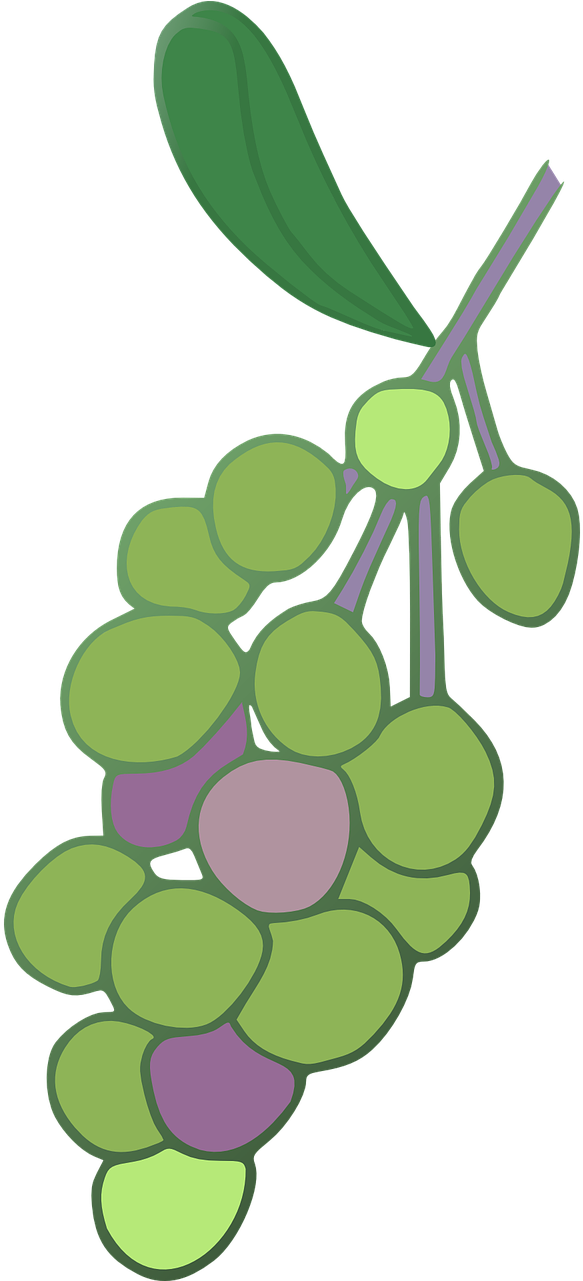 Grape Clipart (640x1280), Png Download