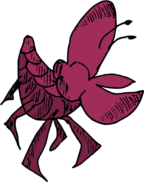 Shellfish-1583917526 - Shellfish Clipart (600x600), Png Download