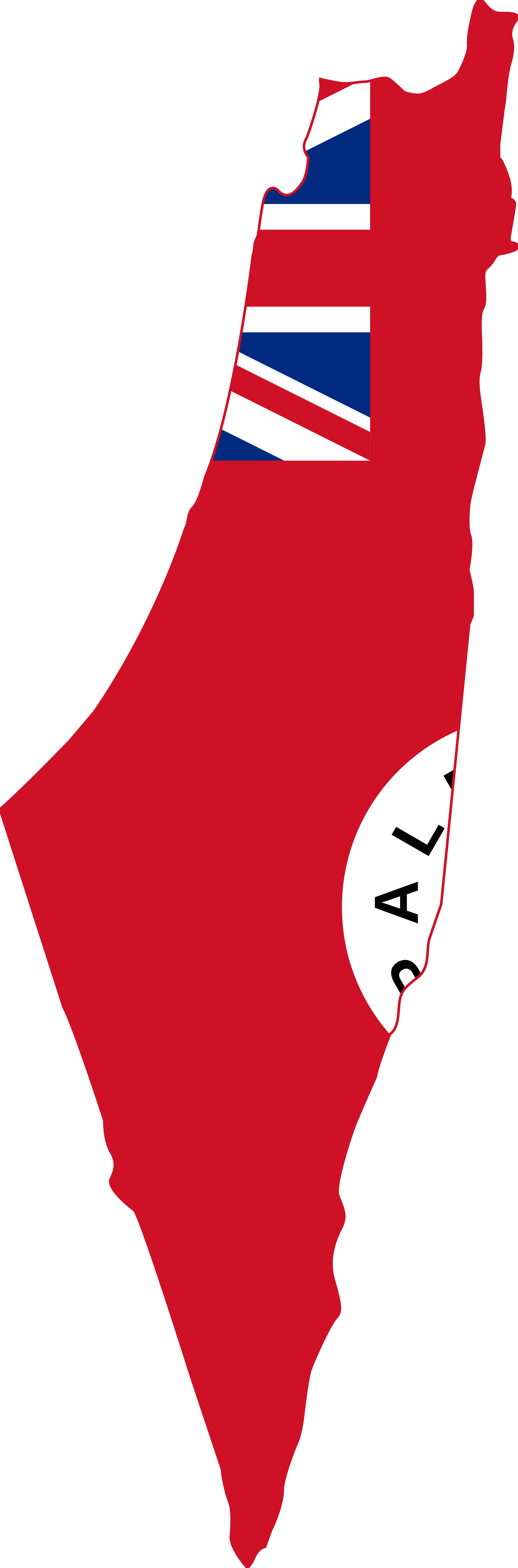 Svg Flags Vincy - Map Of Palestine With Flag Clipart (2000x6050), Png Download