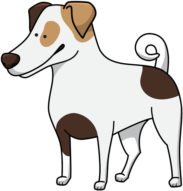 Jack Russell Terrier Clipart - Dog - Png Download (764x800), Png Download