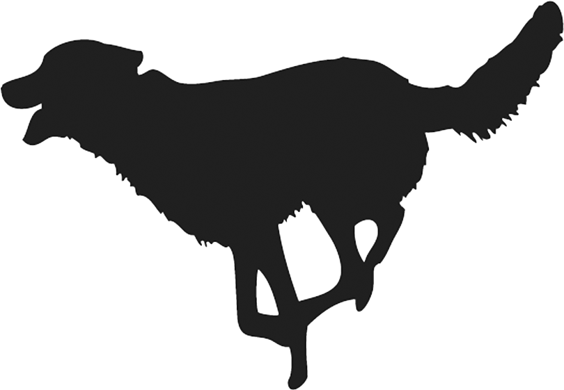 The Great Indian Obsession - Png Download Running Dog Transparent Background Clipart (900x594), Png Download