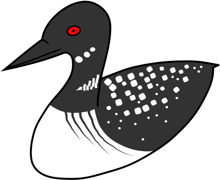 1000 - Loon Png Clipart (800x800), Png Download