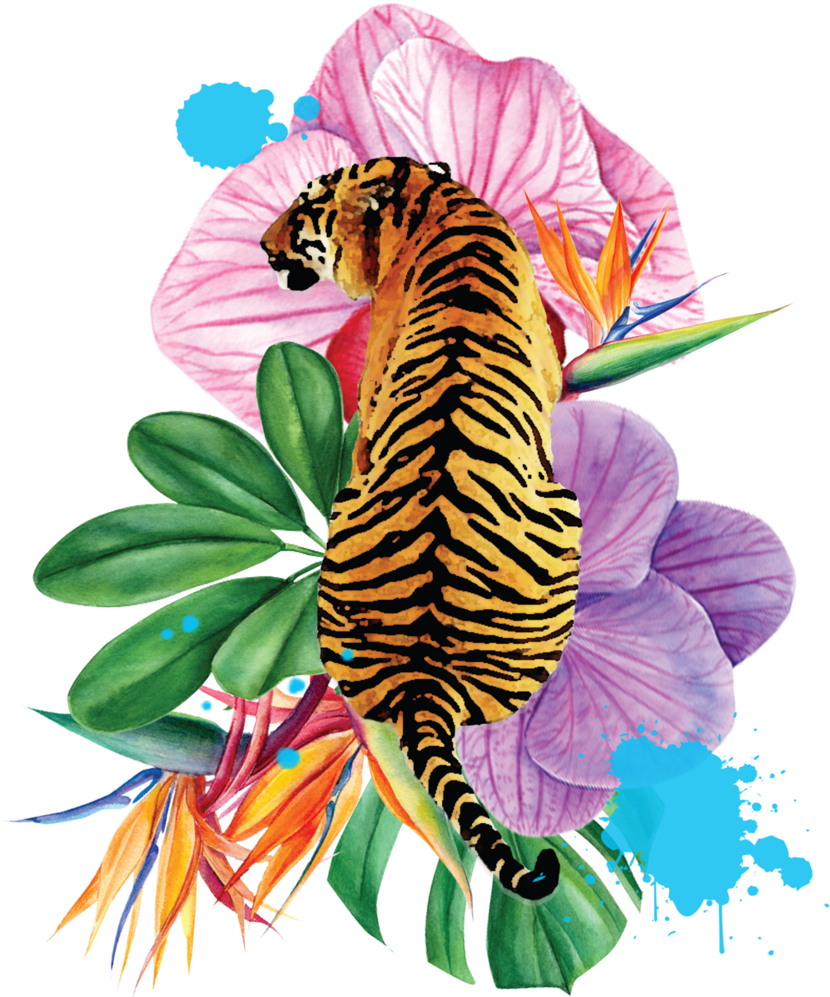 Illustration Clipart (1792x2048), Png Download