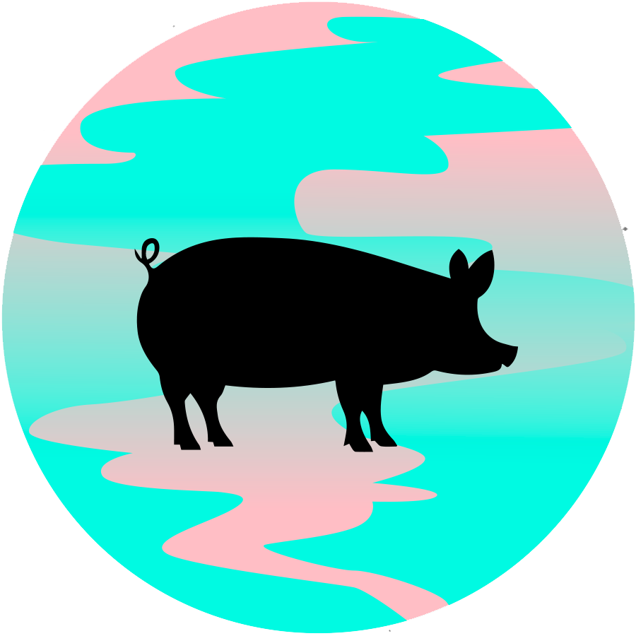 Canvas Antioxidant Wellington Pig Daniel Shoe White - Domestic Pig Clipart (900x900), Png Download