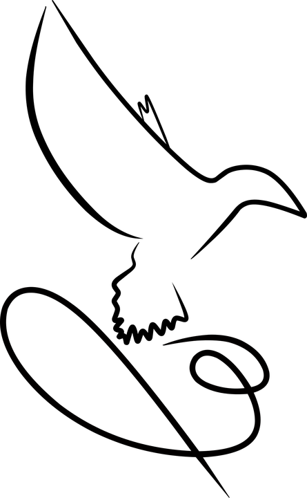 Transparent Millennium Falcon Clipart - Logotipo De Desenho De Pássaro - Png Download (445x720), Png Download