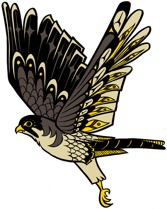 Falcon Clipart Claw - Golden Eagle - Png Download (618x800), Png Download