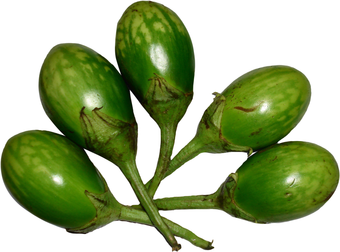 Brinjal Green Png Image - Green Brinjal Png Clipart (1280x957), Png Download