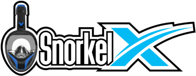 Clip Art - Png Download (1000x405), Png Download