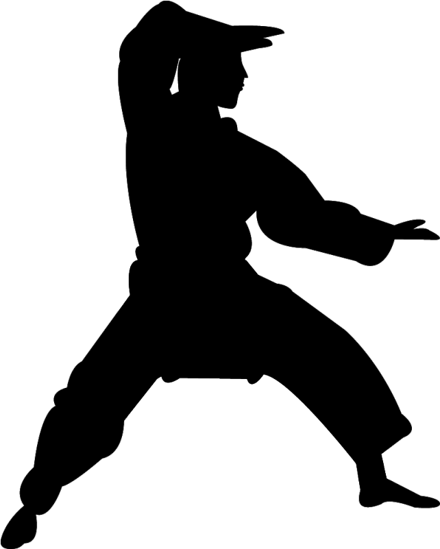 Chinese Martial Arts Karate Silhouette Kata - Martial Arts Logo Png Clipart (800x800), Png Download