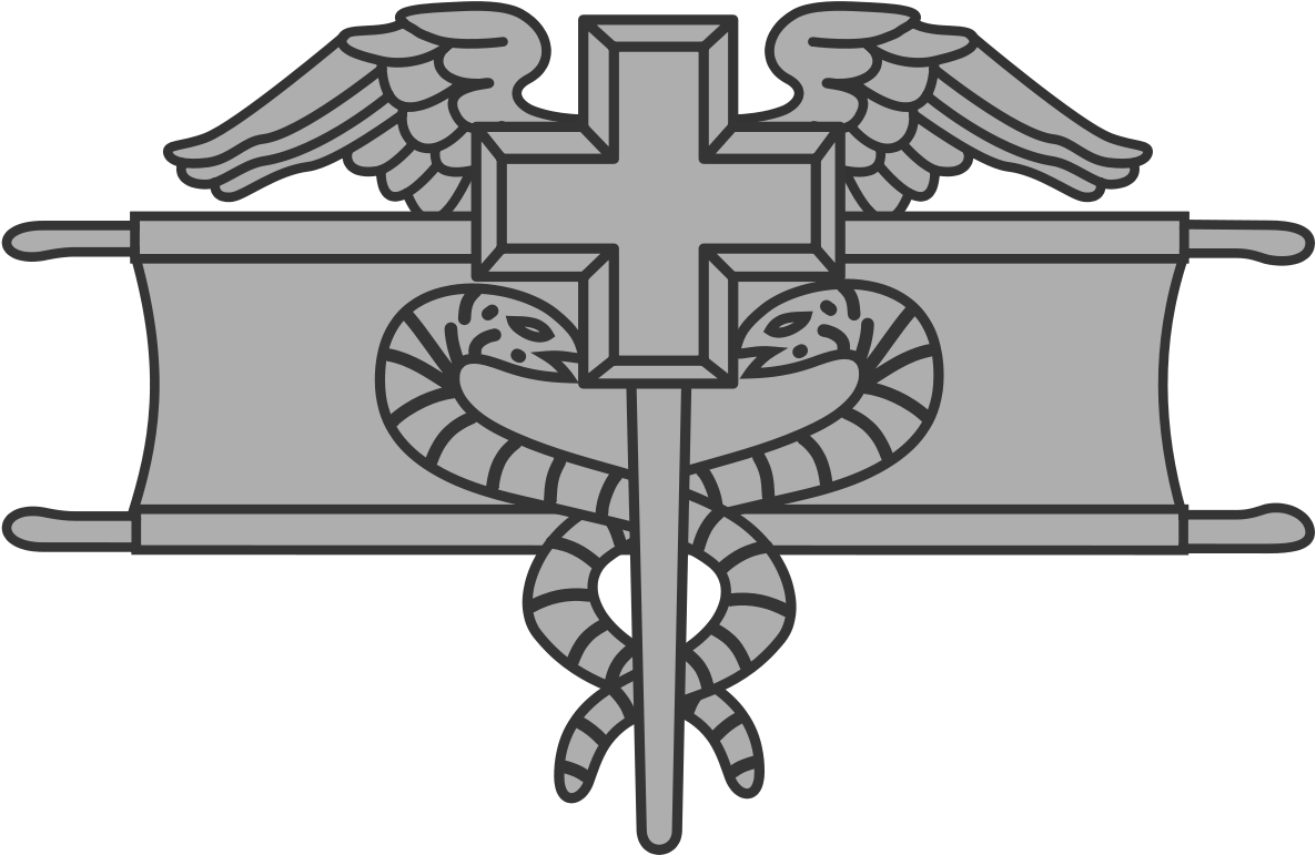 Expert Field Medical Badge - Combat Life Saver Badge Clipart (1200x779), Png Download
