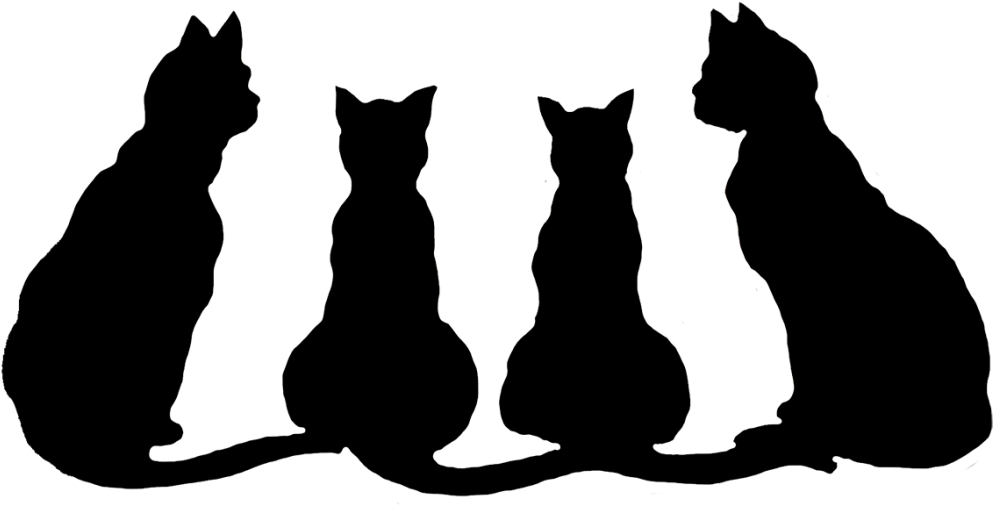 Transparent Halloween Black Cat Png - Black Cats Clipart Black And White (993x505), Png Download