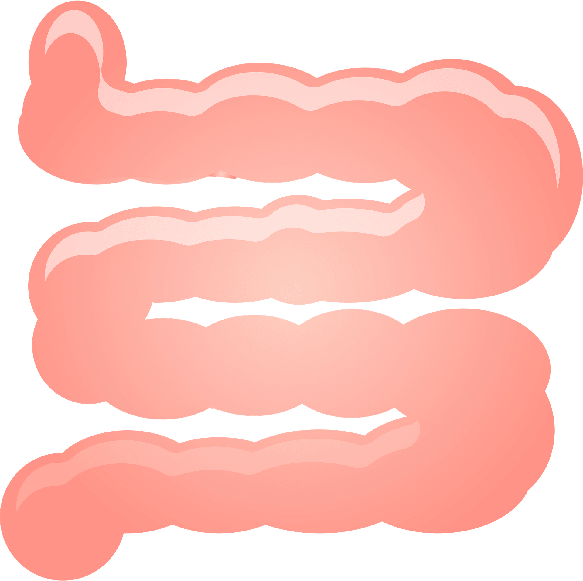 Illustration Clipart (1920x1913), Png Download