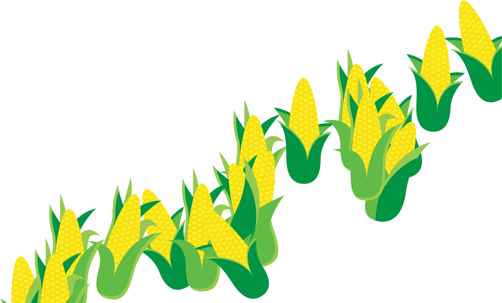 Illustration Clipart (1618x1187), Png Download