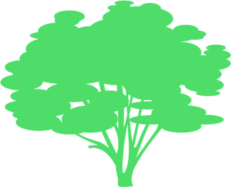 Clip Art - Png Download (800x646), Png Download