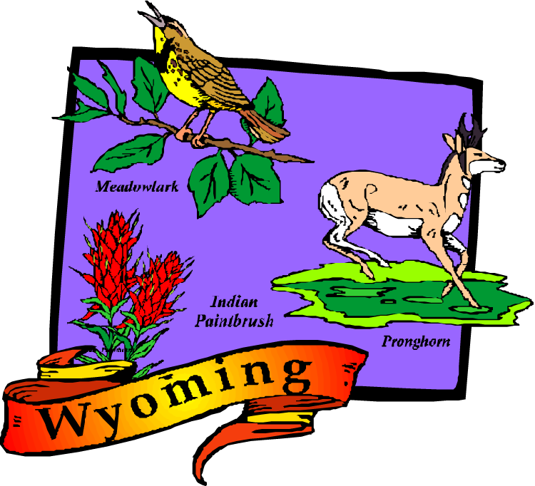 Disaster Clipart Family Needs - Wyoming Map Clipart - Png Download (750x682), Png Download