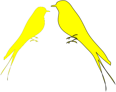 Parakeet Clipart (1600x1600), Png Download