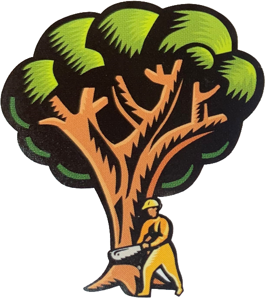 Smarr's Tree Service Clipart (538x594), Png Download