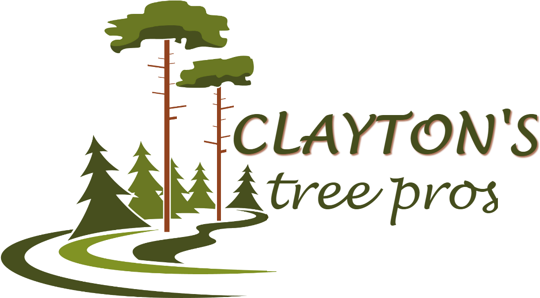 Logo De Pinos Clipart (1200x657), Png Download