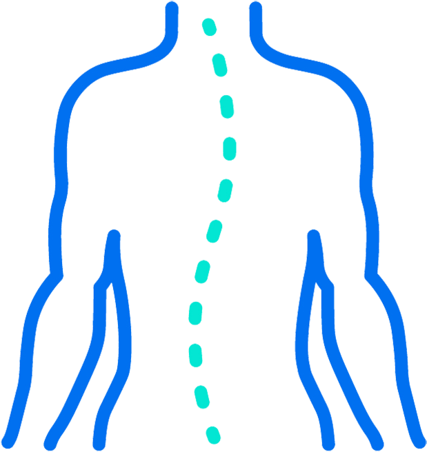 Clip Art - Png Download (800x800), Png Download