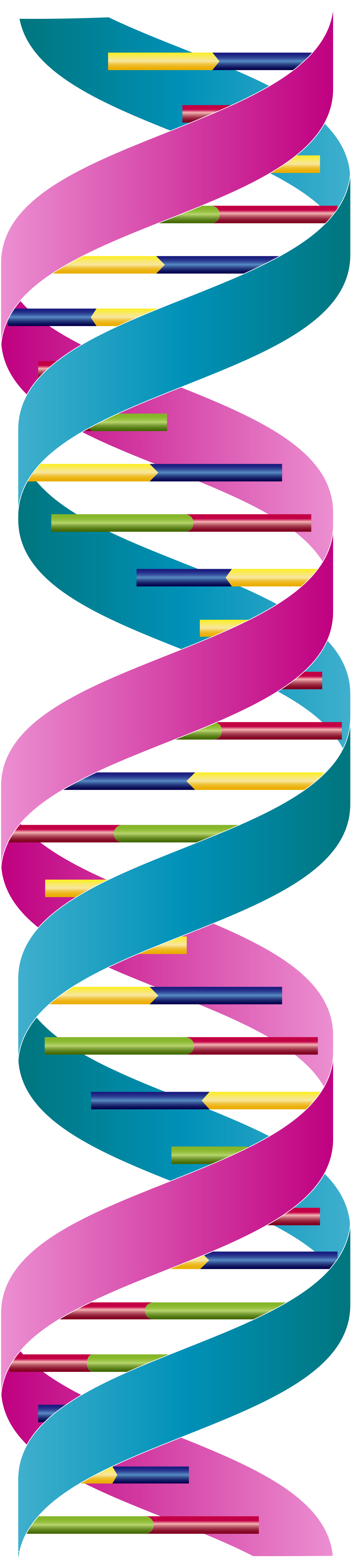 Dna Double Strand Clipart (1200x5153), Png Download