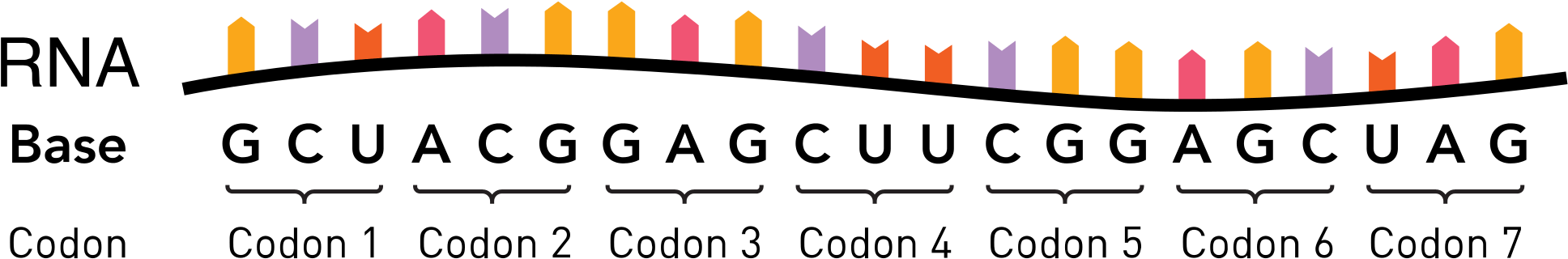 Clip Art - Png Download (1967x356), Png Download