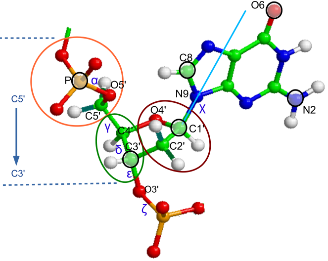 Dna Model Bonds Atoms Clipart (663x528), Png Download