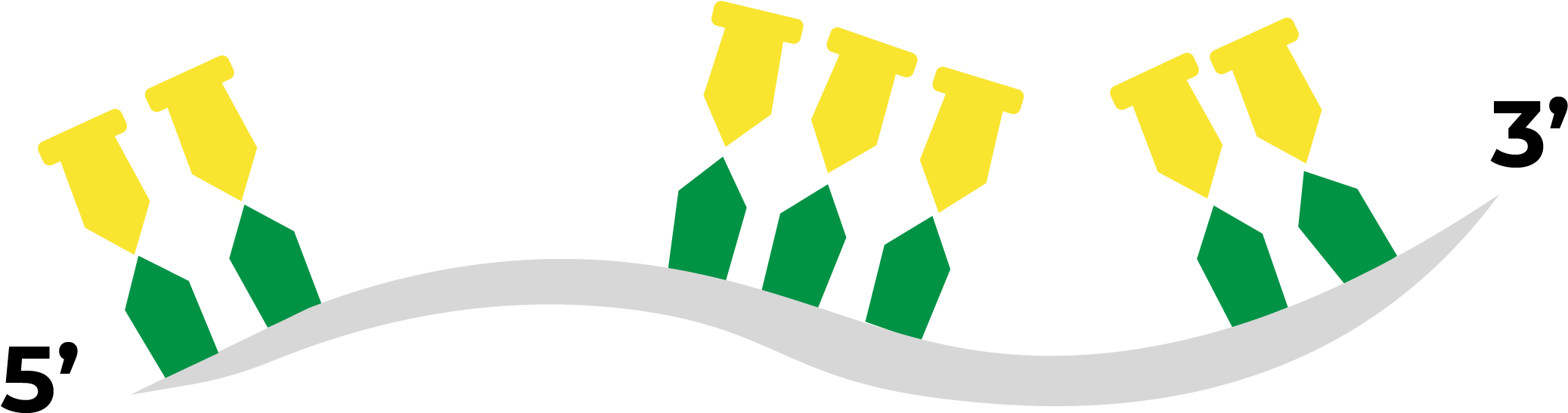 Bioinformatic Design Probes Clipart (2893x989), Png Download