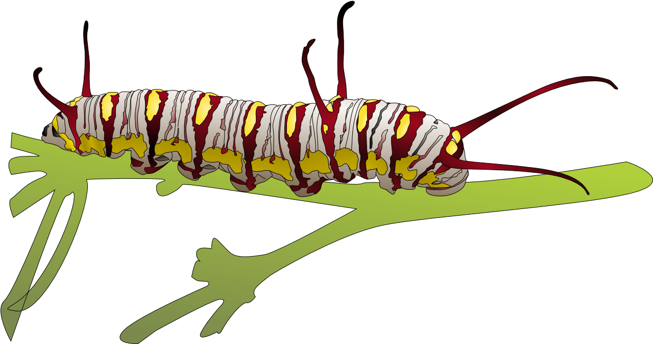 Transparent Caterpillar Clipart - Higad Clipart Black And White - Png Download (1279x673), Png Download
