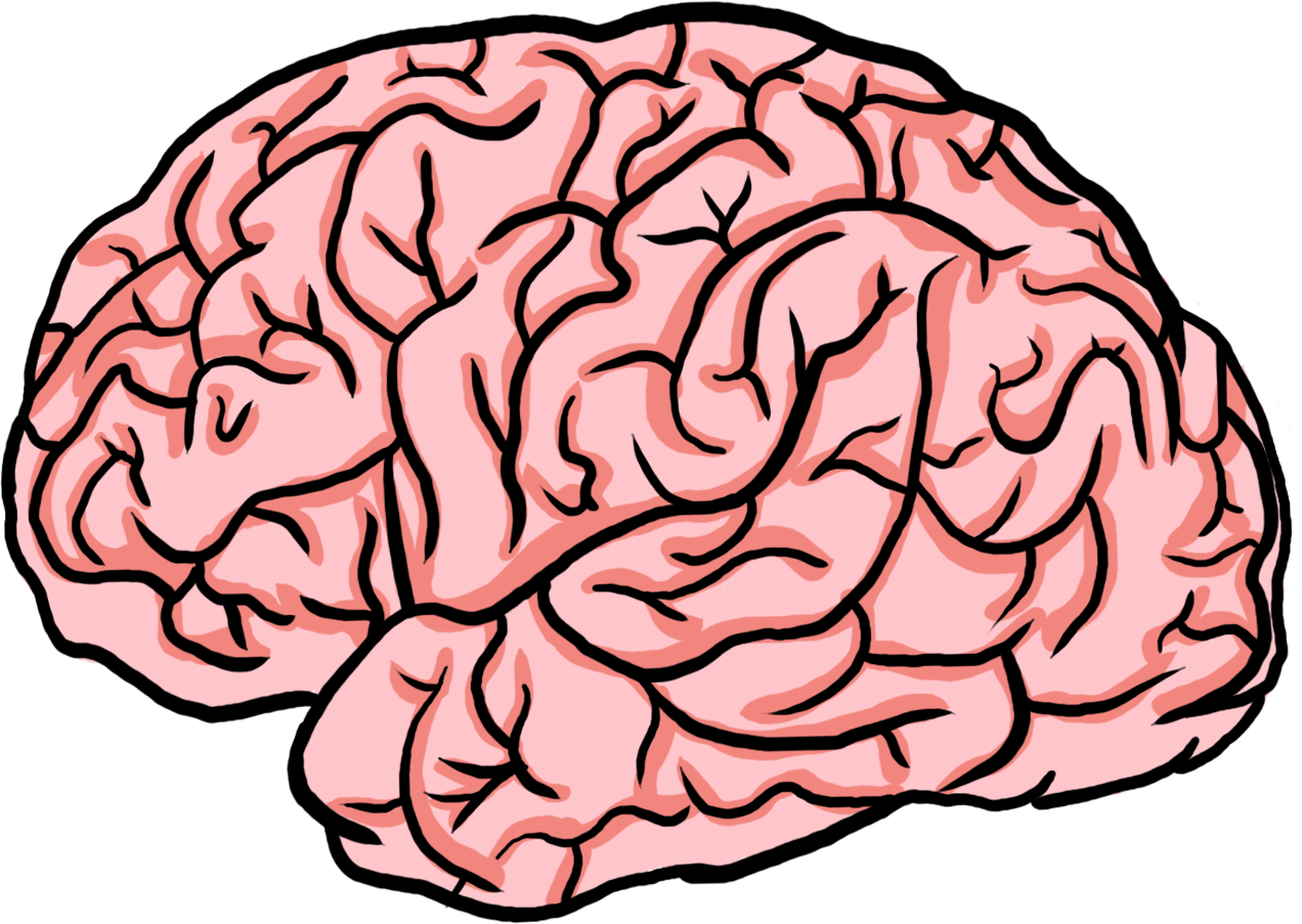 Anxiety Brain Clipart (1272x903), Png Download