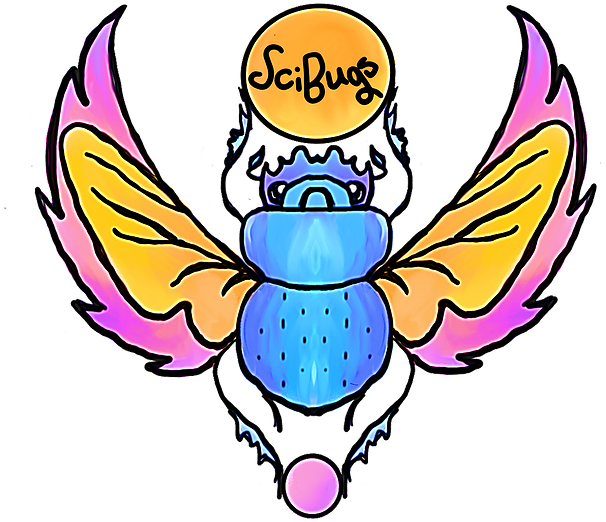 Cartoon Clipart (774x640), Png Download