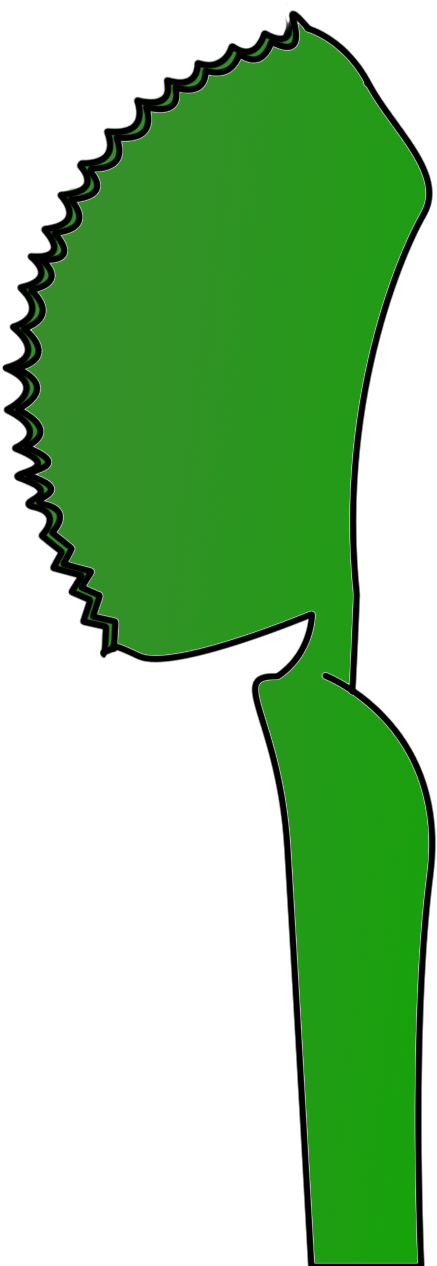 Diseño Logo Ropa Interior Clipart (732x1374), Png Download