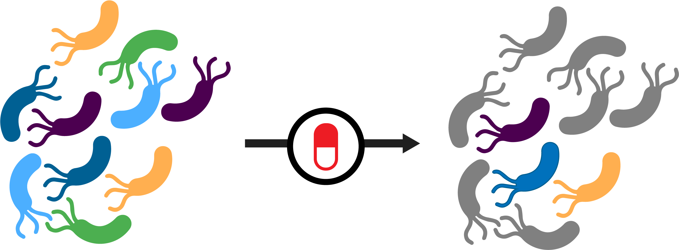 Antibiotic Resistant Bacteria Clipart - Png Download (3050x1175), Png Download