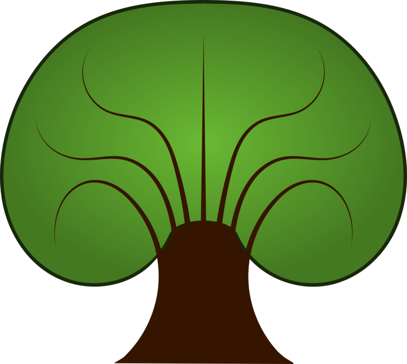 Plant,grass,leaf - Thick Tree Clipart - Png Download (837x750), Png Download