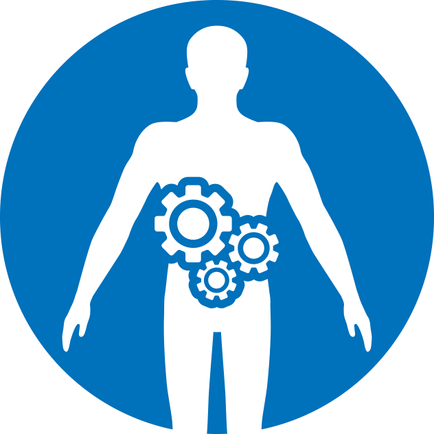 Icon Digestive Health Clipart (632x632), Png Download