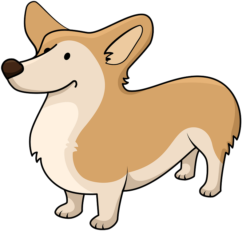 Corgi Clipart - Dog - Png Download (800x761), Png Download