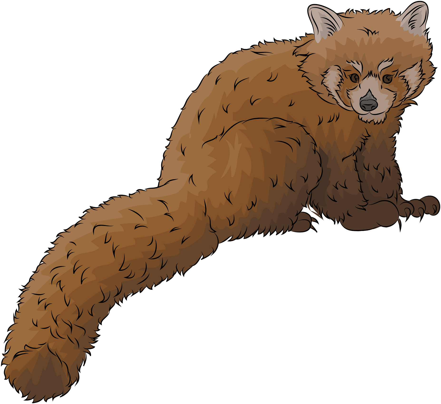 Caterpillar Clipart (1920x1836), Png Download