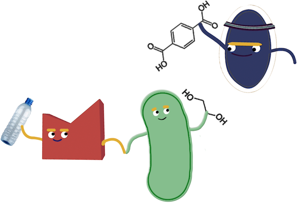 Engineering Clipart Genetic Engineering - Biodegradation Clip Art - Png Download (1000x700), Png Download